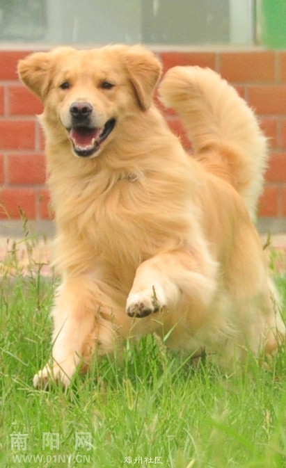 20112510145449535.jpg