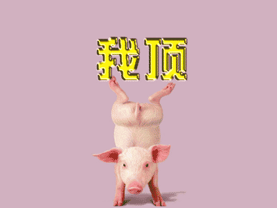 _76597b5fbde0dadacd005203c230cf89.gif