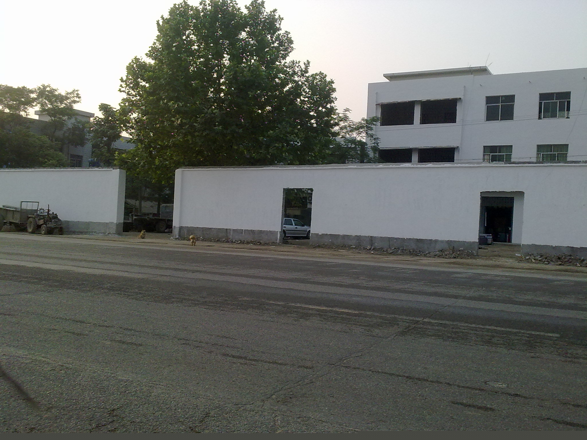 z2.jpg