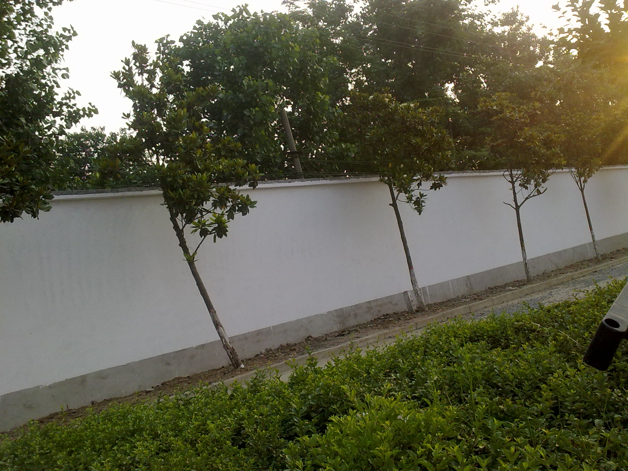 z5.jpg