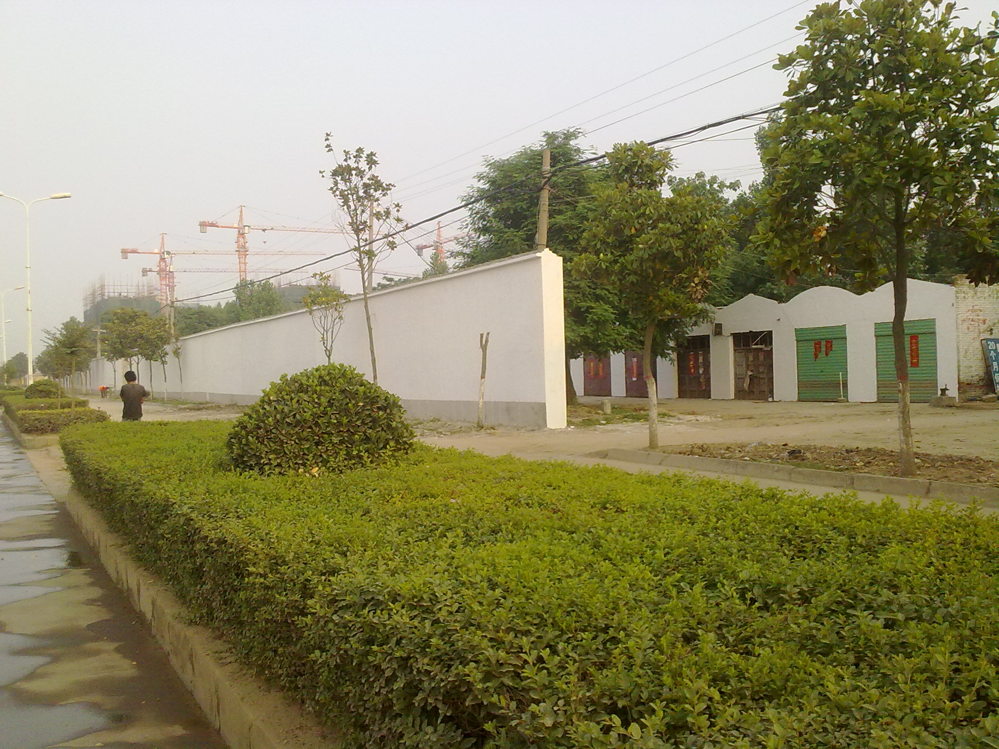 z6.jpg