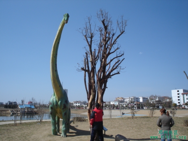 DSC01646.JPG