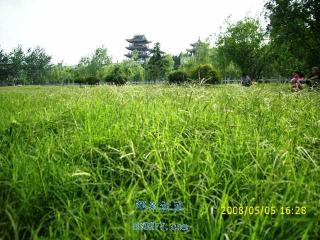 DSCI0415.JPG