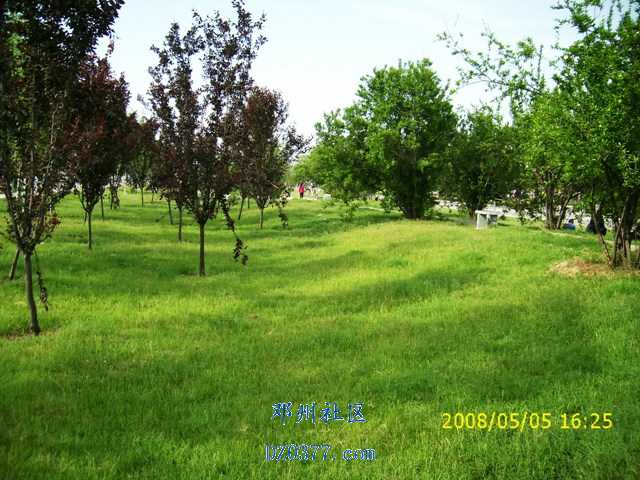 DSCI0405.JPG