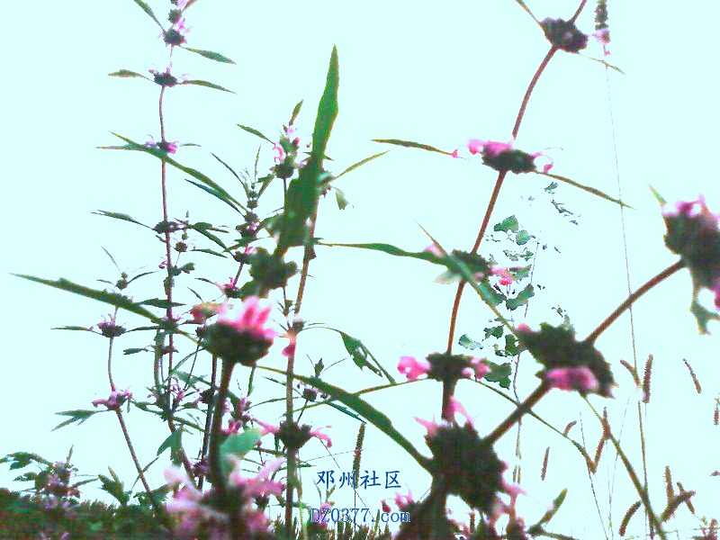 照片-0013.jpg