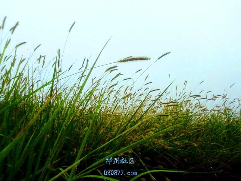 照片-0003.jpg