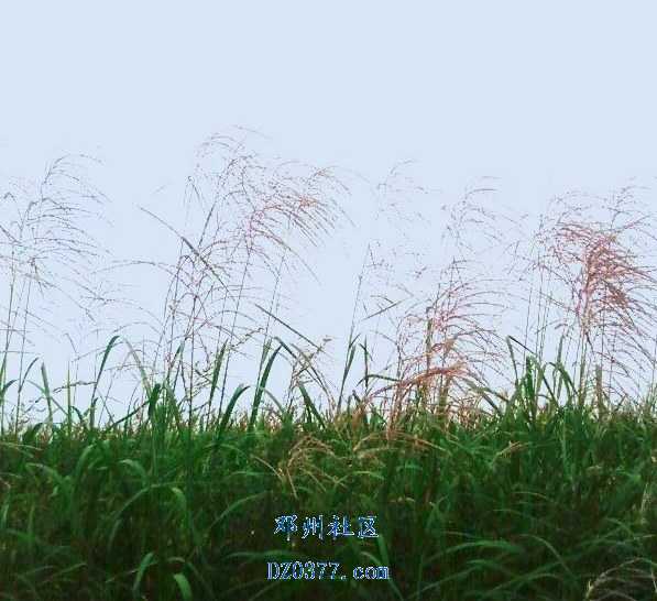 照片-0007.jpg