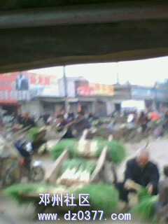 IMG0672A.jpg