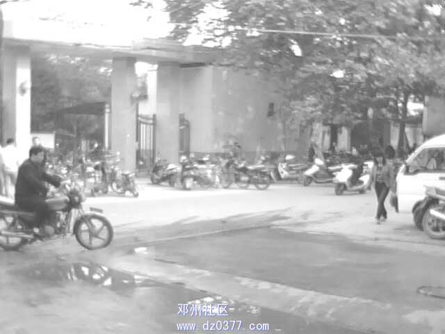 IMG0703A.jpg