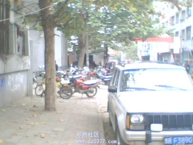 IMG0715A.jpg