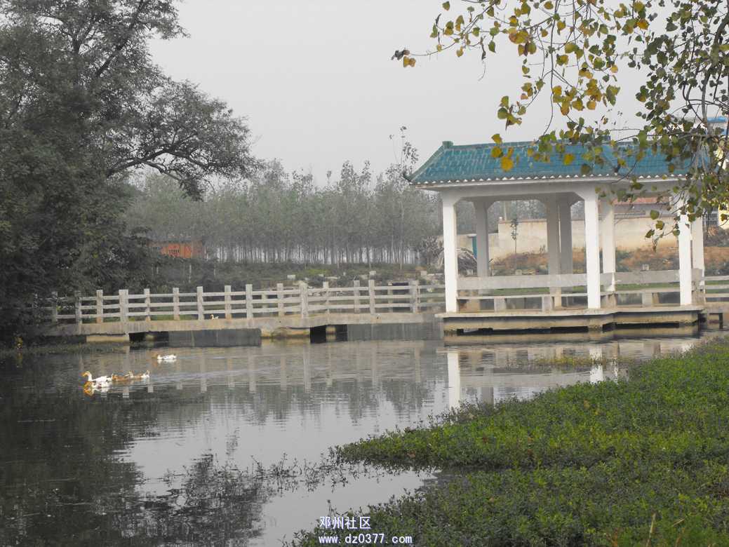 邓州古村9.jpg