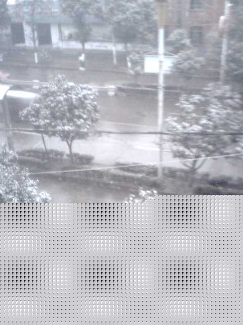 IMG0137A.jpg