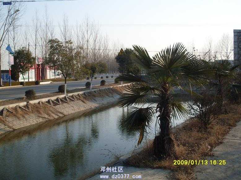 SDC12781.JPG
