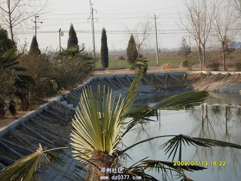 SDC12776.JPG