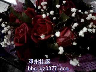 IMG0001A.jpg