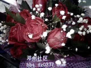 IMG0002A.jpg