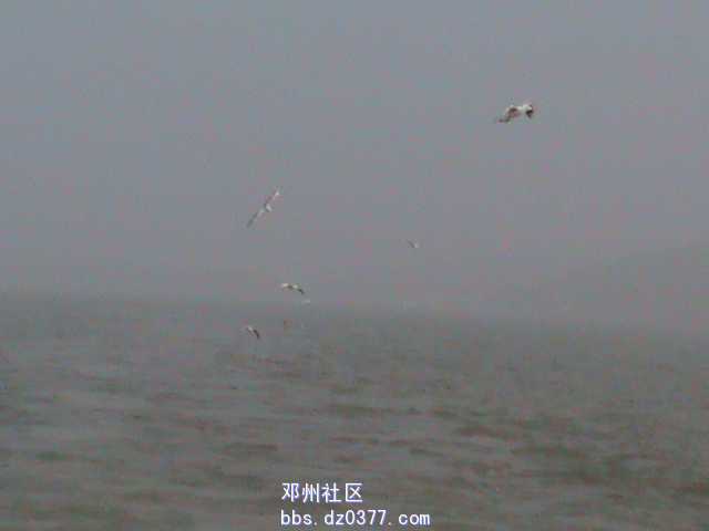 DSC00077.JPG