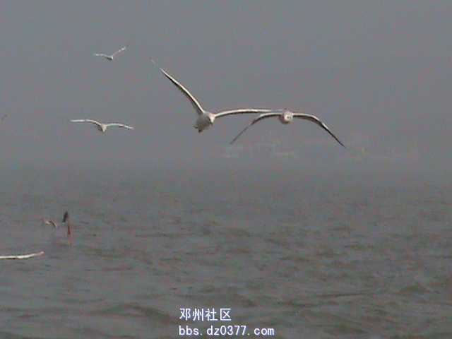 DSC00075.JPG