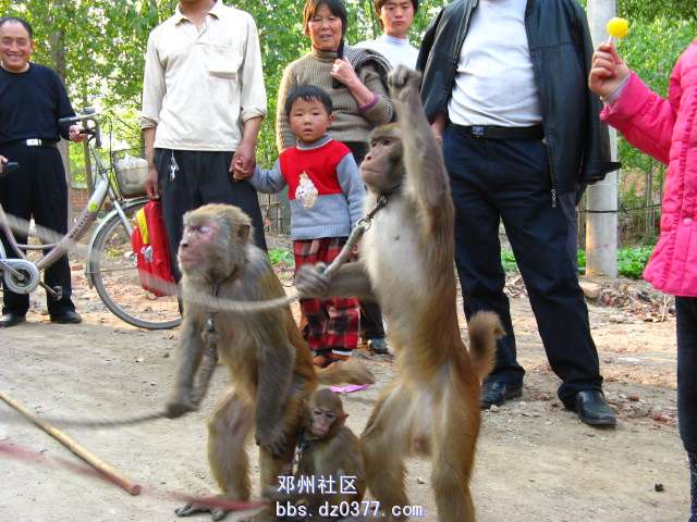 投票举手