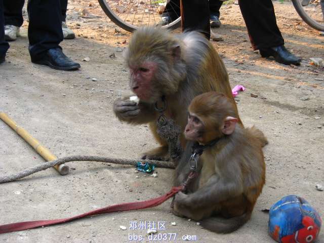 母子俩