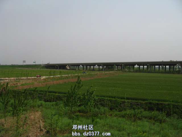 IMG_5850.JPG