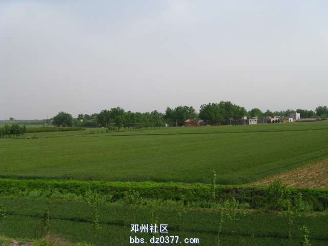 IMG_5847.JPG