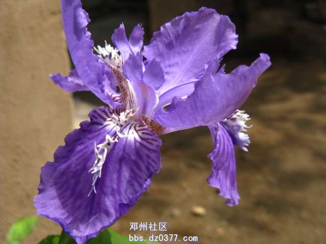 IMG_5790.JPG