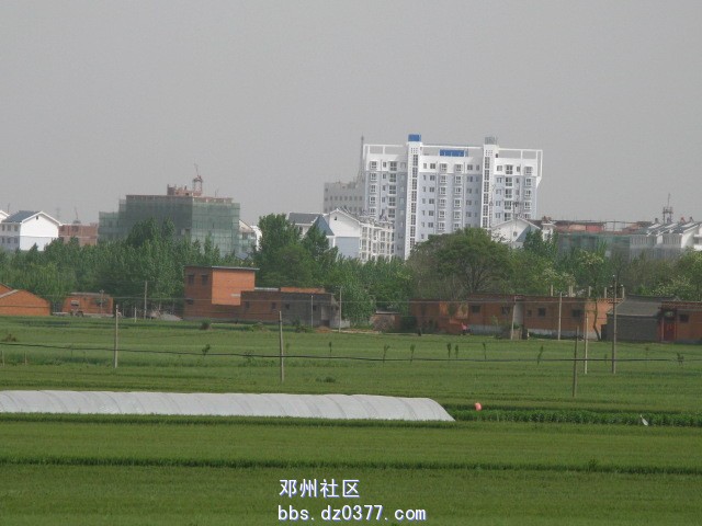远看蓝湾