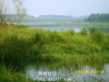 1c03215q149a2.jpg