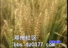暴风截屏20090525234338.jpg