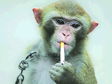 e18d7446-138a-442f-9e46-d4523ea4d3a2.gif