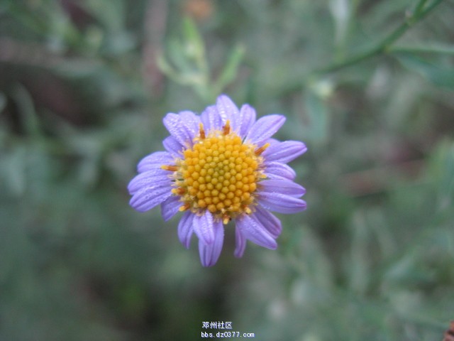 IMG_7094.JPG