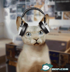 1244862397326.gif