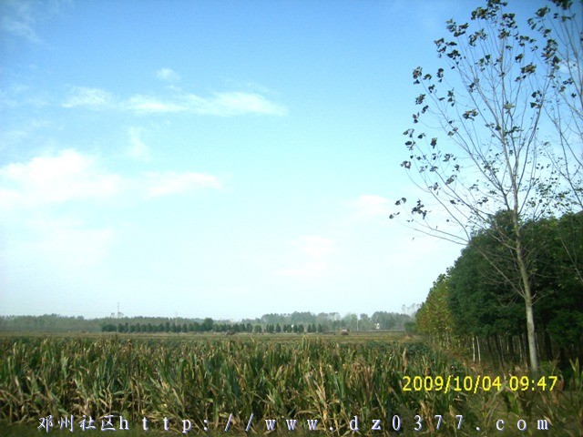 复件 复件 DSCI0984.JPG