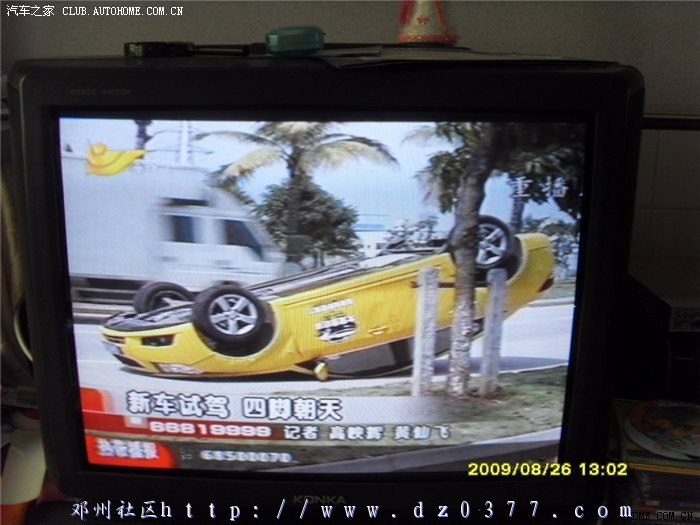 胆子不小.jpg