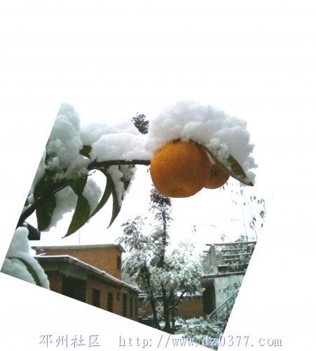照片-0002.jpg
