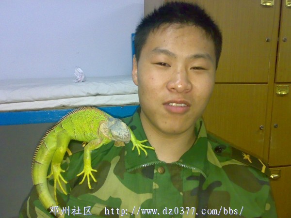 20080331411.jpg