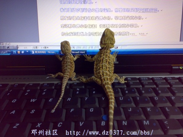 20080526267.jpg
