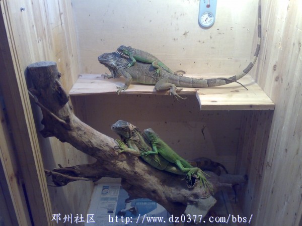 20080512225.jpg