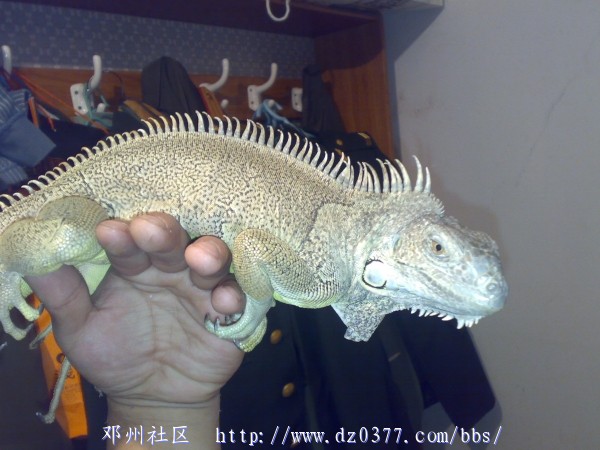 20080508169.jpg