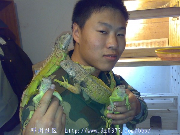 20080415093.jpg