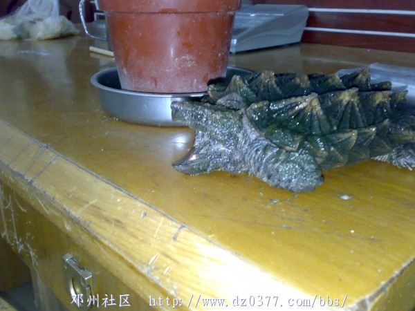 20080531301.jpg