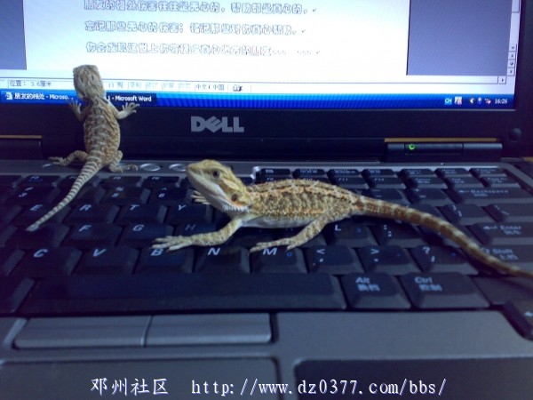 20080526268.jpg