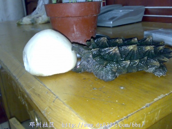 20080531302.jpg