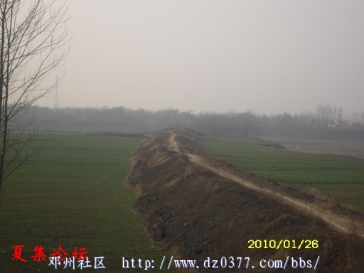 conew_conew_sdc12626.jpg