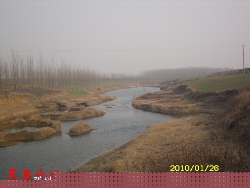 conew_conew_sdc12613.jpg