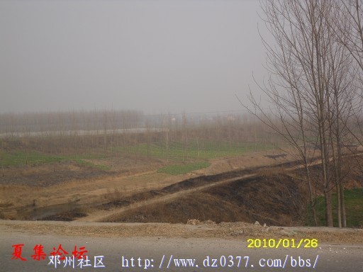 conew_conew_sdc12625.jpg