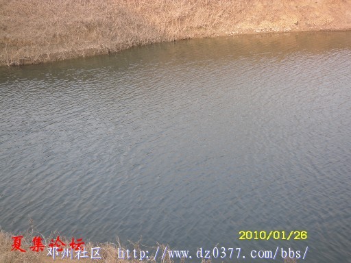 conew_conew_sdc12620.jpg