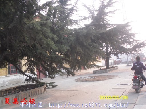 conew_conew_sdc12658.jpg