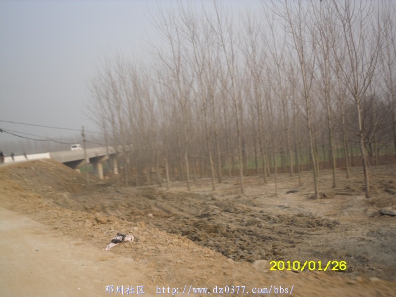 SDC12598.JPG